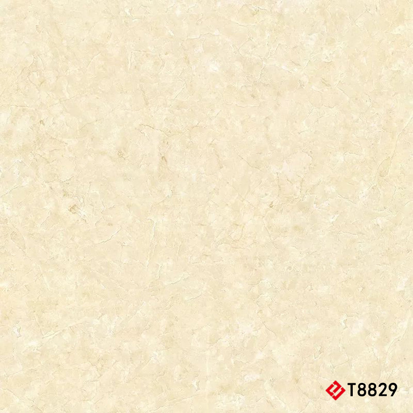 T8829 Marble 通体大理石 800x800mm
