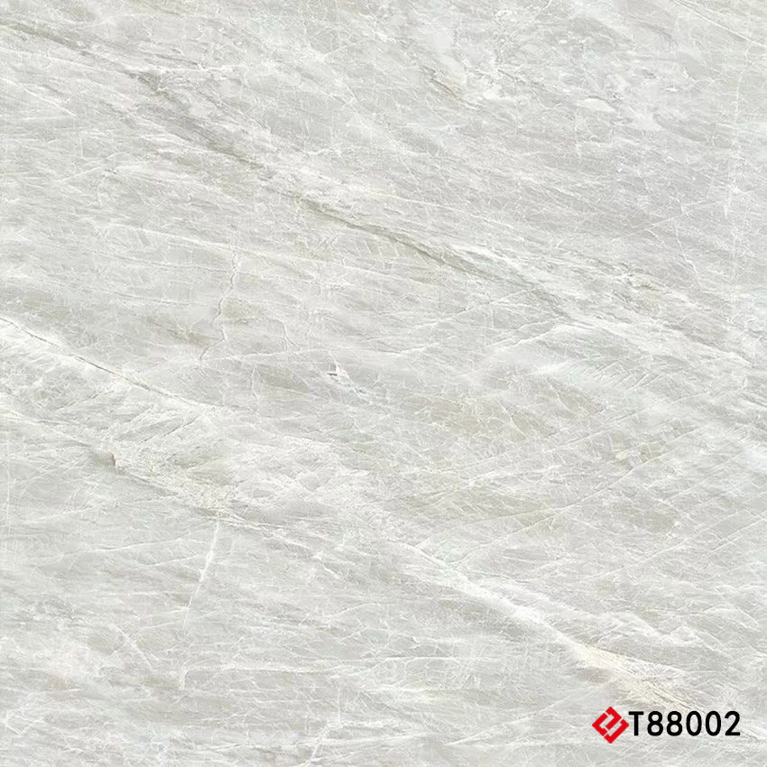 T88002 Marble 通体大理石 800x800mm