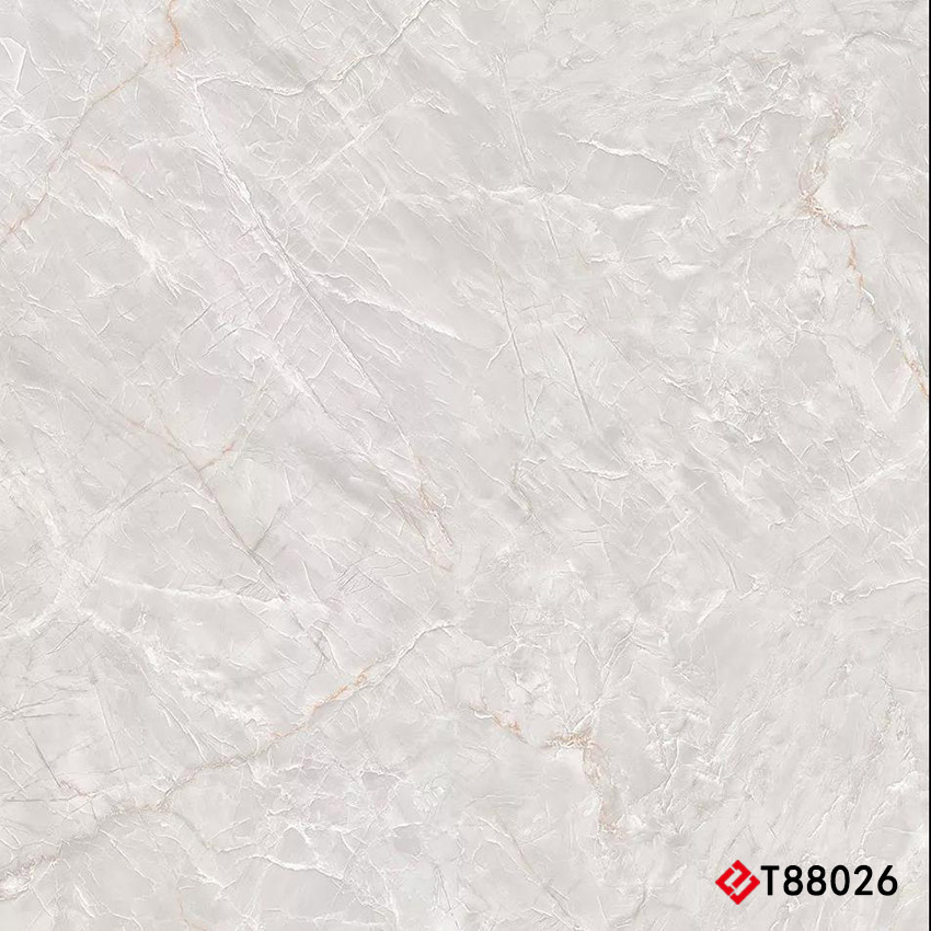T88026 Marble 通体大理石 800x800mm