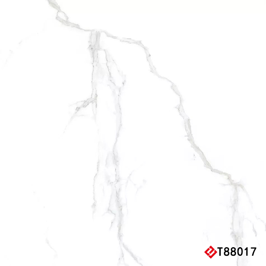 T88017 Marble 通体大理石 800x800mm