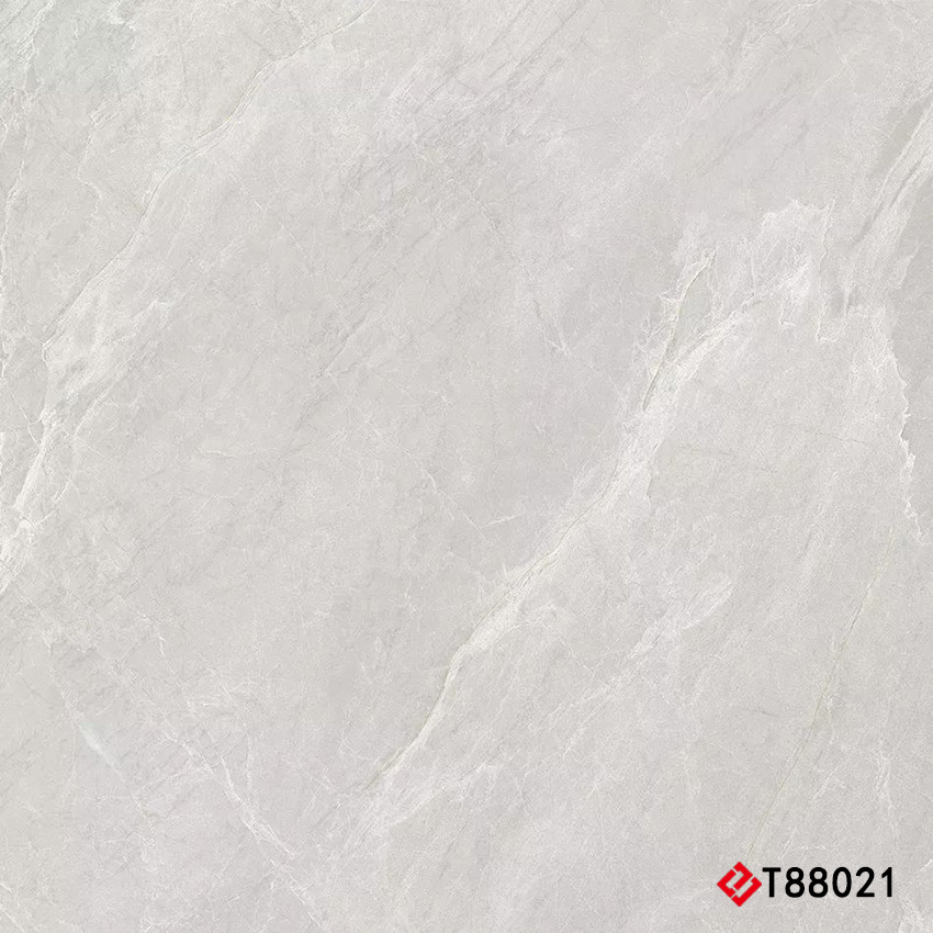 T88021 Marble 通体大理石 800x800mm