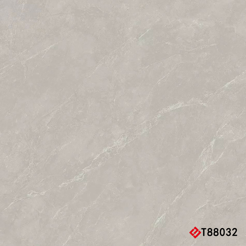 T88032 Marble 通体大理石 800x800mm