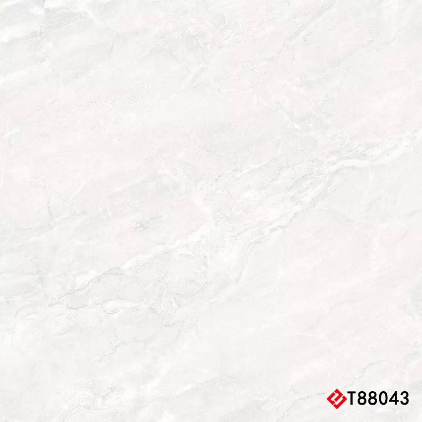 T88043 Marble 通体大理石 800x800mm