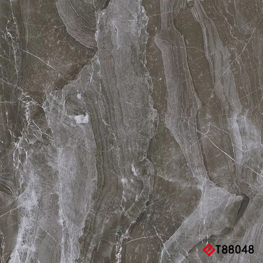 T88048 Marble 通体大理石 800x800mm