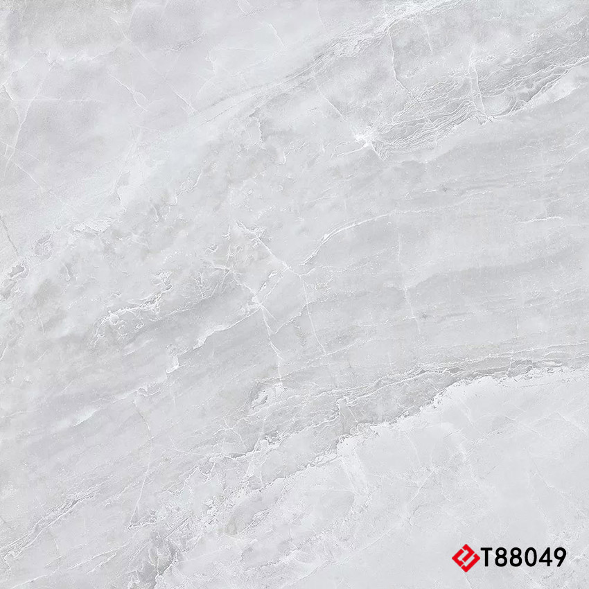 T88049 Marble 通体大理石 800x800mm