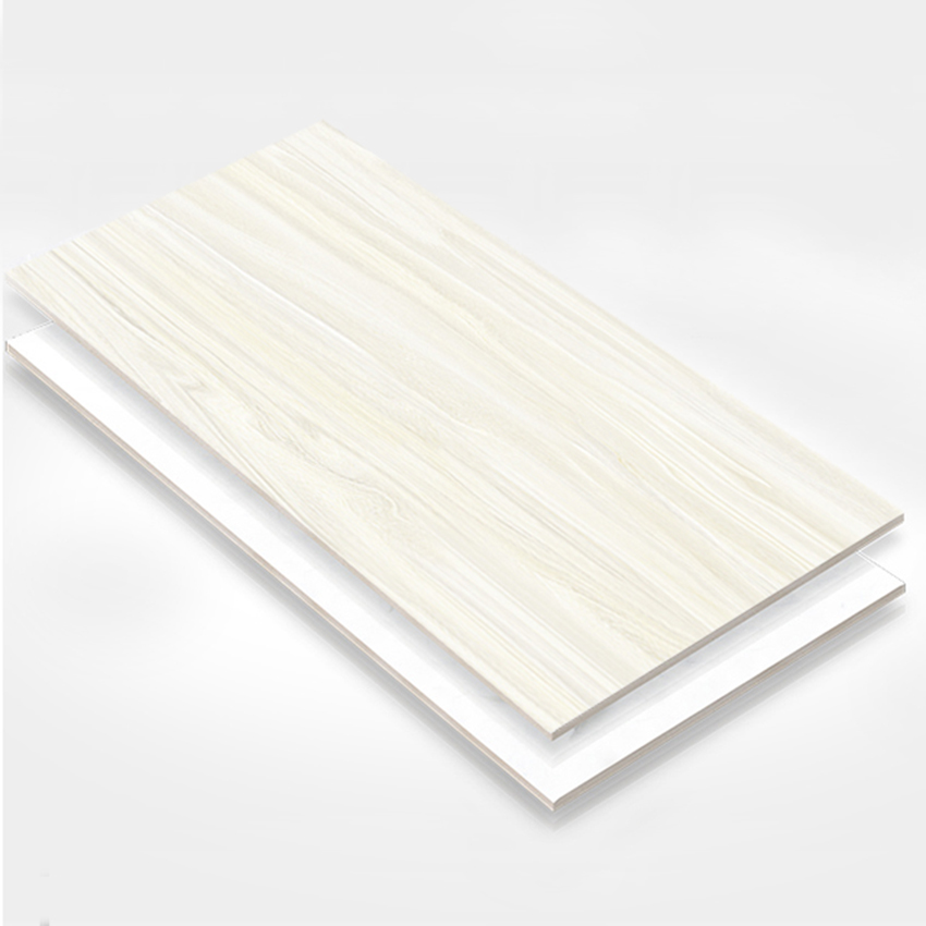 Y6003 Ceramic Tile 瓷片 300x600mm