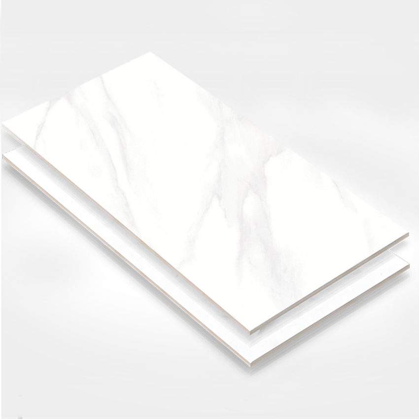Y6009 Ceramic Tile 瓷片 300x600mm