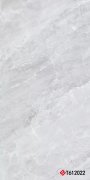 T612022 Marble 通体大板 600x1200mm