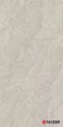 T612209 Marble 通体大板 600x1200mm