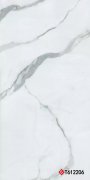 T612206 Marble 通体大板 600x1200mm