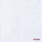 6026 Ceramic Tile 小地砖 300x300mm