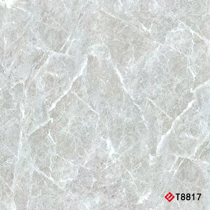 T8817 Marble 通体大理石 800x800mm