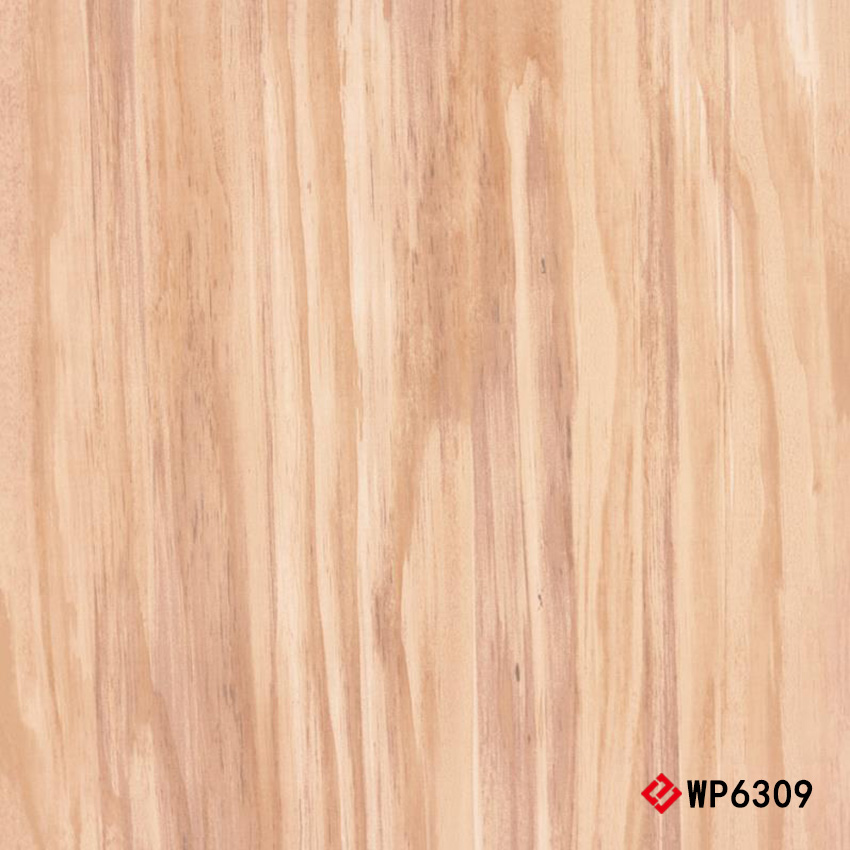 WP6309 Glazed Tile 抛釉砖 600x600mm
