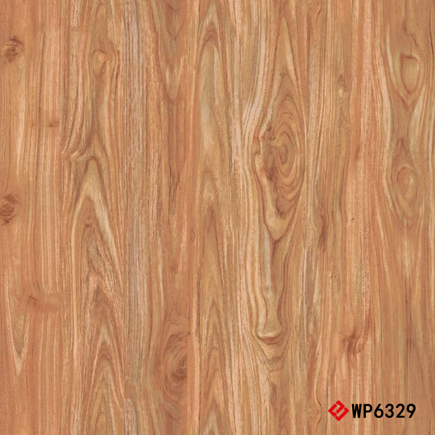 WP6329 Glazed Tile 抛釉砖 600x600mm